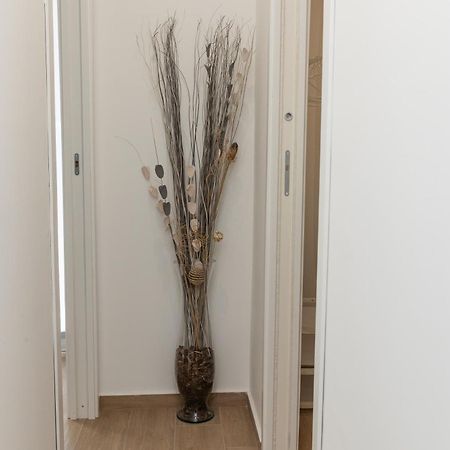 Ludo Holiday House - Charming Con Patio A Due Passi Dalla Cattedrale 팔레르모 외부 사진